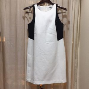 CLUB MONACO WHITE/black sheath dress size 4